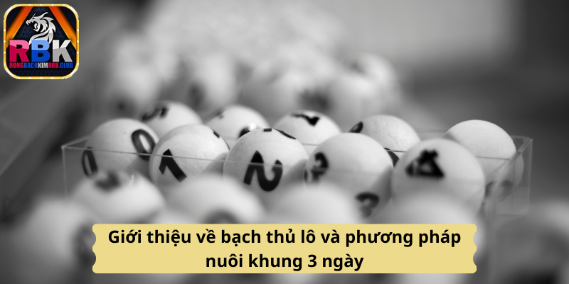 Cách Chơi Bạch Thủ Lô Hiệu Quả Trong 3 Ngày